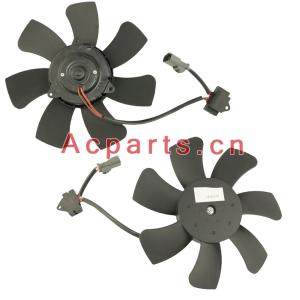 AC.156.005